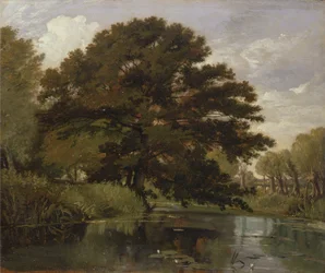 Auf der Isis, Waterperry, Oxfordshire
